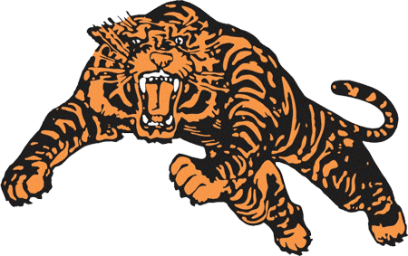 Princeton Tigers 1964-1983 Primary Logo t shirts iron on transfers